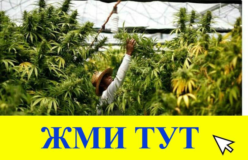 Купить наркотики в Тобольске